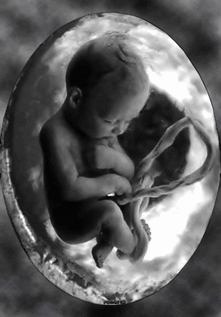 Obstetrics & Gynecology