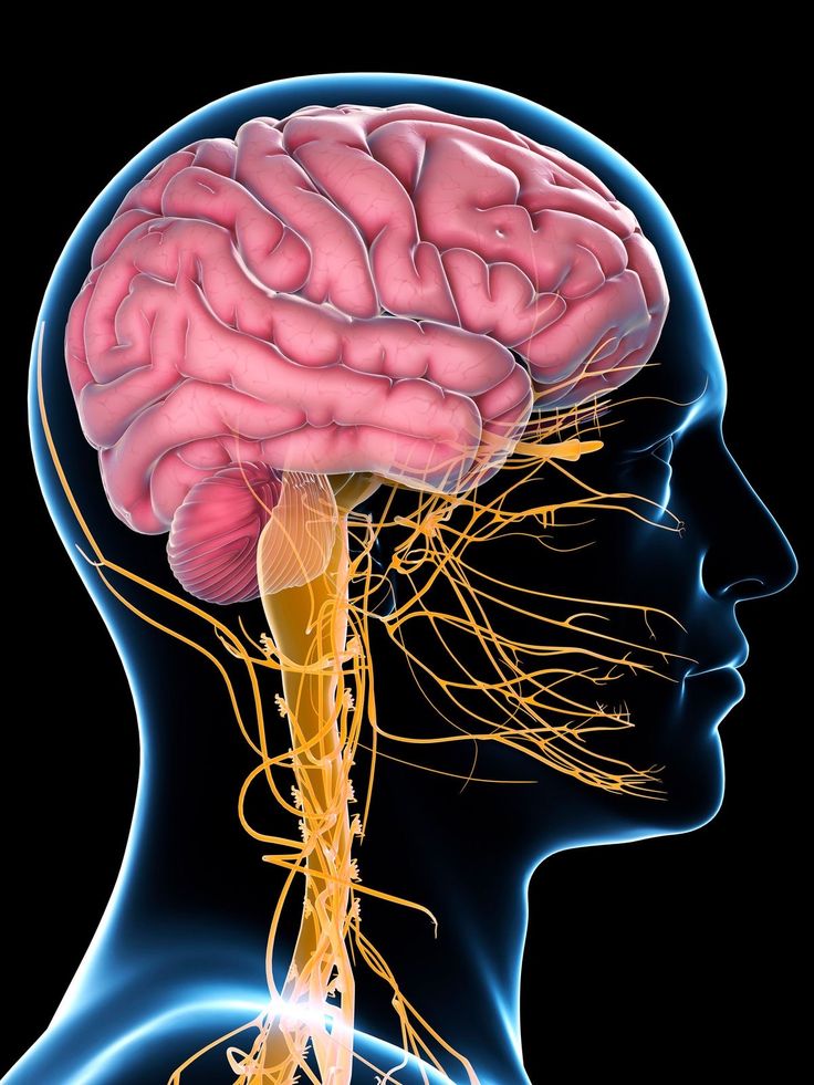 Psychology Services