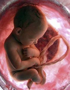 Fertility & Reproductive Services